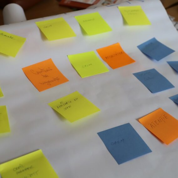 curs formare continua 3